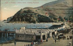 Scene at Avalon, Showing Aquarium Postcard