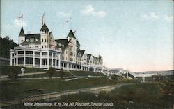 The Mt. Pleasant Hotel Postcard