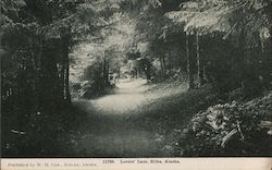 Lovers Lane Postcard