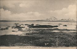 Bird's-Eye View Sitka, AK Postcard Postcard Postcard