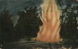 Large Fire pit Shreveport, LA Postcard Postcard Postcard