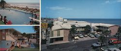 Royal Palms Motor Inn and Restaurant Large Format Postcard