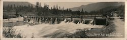 Savage Rapids Dam on Rogue River near Grant's Pass Large Format Postcard