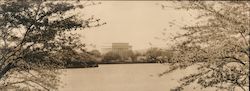 Lincoln Memorial Large Format Postcard