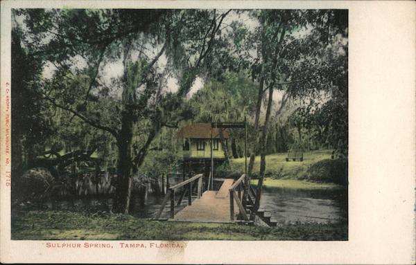 Sulphur Spring Tampa Florida