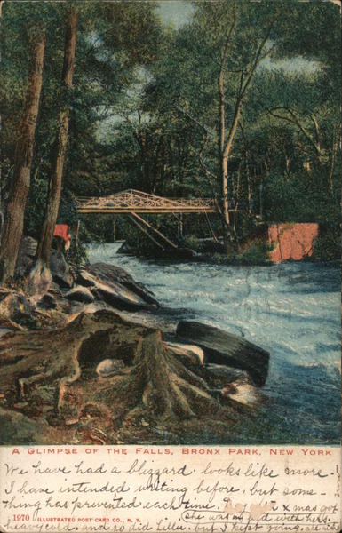 A Glimpse of the Falls, Bronx Park New York