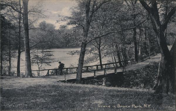 Scene in Bronx Park New York