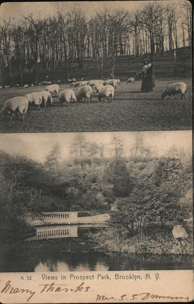 Views in Prospect Park Brooklyn New York