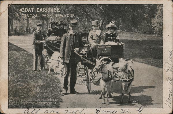 Goat Carriage, Central Park New York