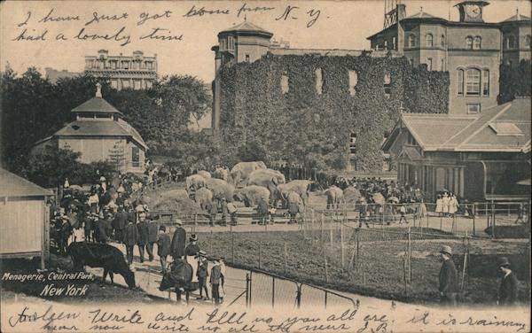 Menagerie, Central Park New York City