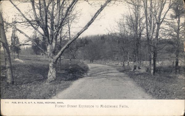 Forest Street Entrance to Middlesex Fells Stoneham Massachusetts