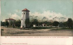 Walnut Park Petaluma, CA Postcard Postcard Postcard