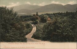 Franconia Range from the Carriage Road Postcard