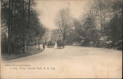 Carriages in Central Park New York City, NY Postcard Postcard Postcard