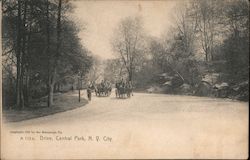 Carriages in Central Park Postcard