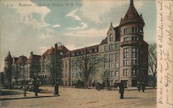 Museum Of Natural History Postcard