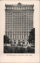 Whitehall Building Postcard