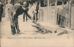 Alligator Joe and his Smiling Alligator Postcard