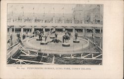 Performing Horses, Luna Park Coney Island, NY Postcard Postcard Postcard