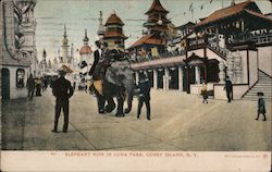 Elephant Ride in Luna Park Postcard