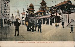 Elephant Ride in Luna Park Coney Island, NY Postcard Postcard Postcard