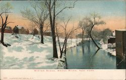 Winter Scene, Bronx River New York, NY Postcard Postcard Postcard