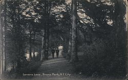 Lovers Lane, Bronx Park Postcard