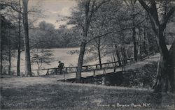 Scene in Bronx Park Postcard