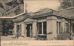 Gila Monster, Reptile House - New York Zoological Park Postcard