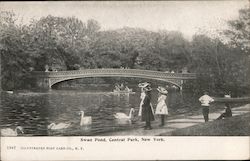 Swan Pond, Central Park New York City, NY Postcard Postcard Postcard