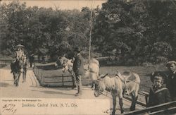 Stock #975917 Thumbnail