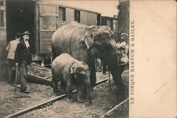 Unloading the Circus Train, Barnum & Bailey Elephants Postcard