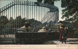 Bear Pit in Druid Hill Park Postcard