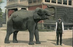 Elephant "Baby Roger", Roger Williams Park Providence, RI Postcard Postcard Postcard