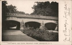 Drive and Path, Prospect Park Postcard