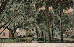 Magnolia St. Postcard