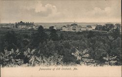 Panorama of Old Orchard Postcard