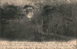 The Wooden Bridge, Hamilton Park Postcard