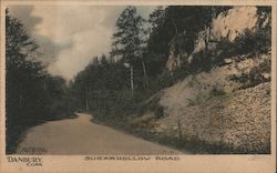 Sugar Hollow Road Danbury, CT Postcard Postcard Postcard