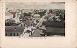 View, East Duval Street Postcard