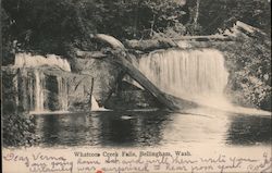 Whatcom Creek Falls Postcard