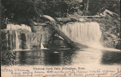 Whatcom Creek Falls Bellingham, WA Postcard Postcard Postcard