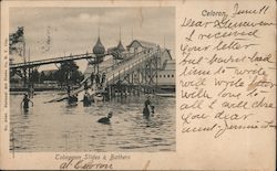 Toboggan Slides & Bathers Celoron, NY Postcard Postcard Postcard