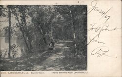 English Bayon Lake Charles, LA Postcard Postcard Postcard