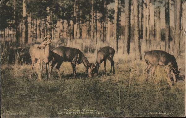 Deer Park Pinehurst North Carolina
