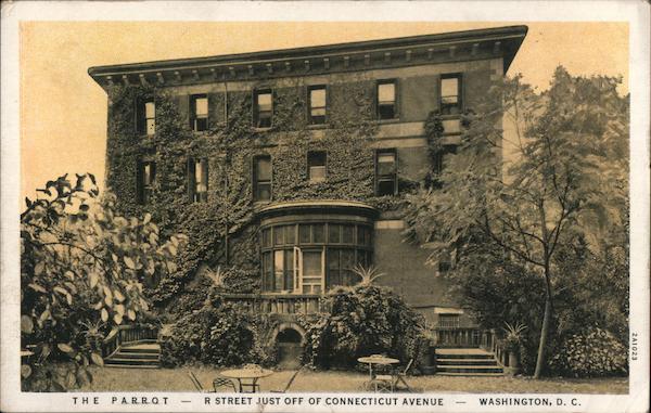 The Parrot Washington District of Columbia Washington DC