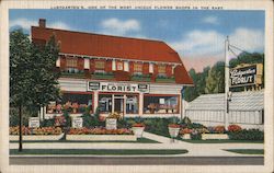 Baier Lustgarten Florist, Inc. Postcard