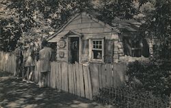 Piglet's House, Bronx Zoo Postcard