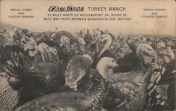 Fry Bros Turkey Ranch Postcard