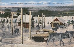 Stock #978013 Thumbnail